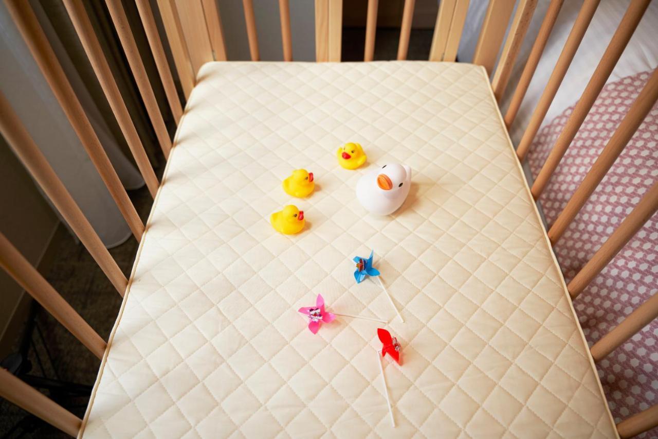 Daiwa Roynet Hotel Sapporo Nakajima Koen Ngoại thất bức ảnh